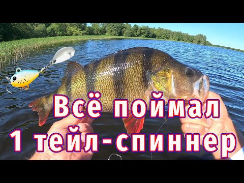 Видео: Рыба Очень ЛЮБИТ Эту Приманку!