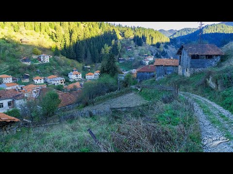 Видео: Има ли път до село Мугла в Родопите?