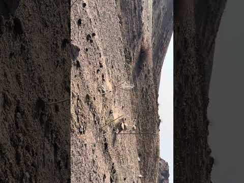 Видео: 28 октября 2025 г.