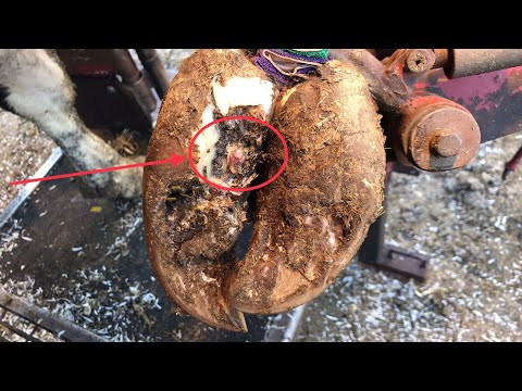 Видео: КАК ЭТО ТУДА ПОЯВИЛОСЬ И ПОЧЕМУ???