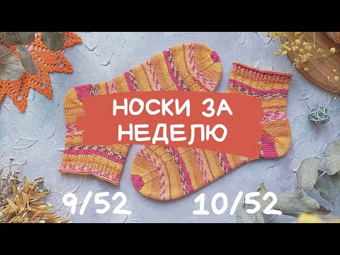 Видео: НОСКИ ЗА НЕДЕЛЮ | Магическое вязание | Скрипучий Drops Fabel | Носочки на весну | 9, 10/52