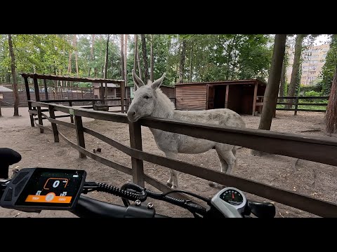 Видео: Тестую велосипед разом із віслюком 🫏