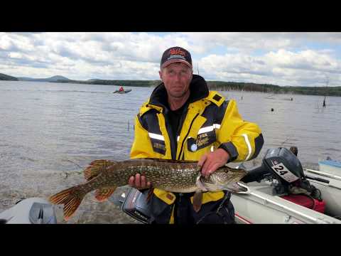 Видео: Щука на 5200 Долгобродская зорька 2015