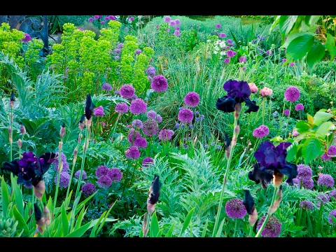 Видео: Дизайн цветника