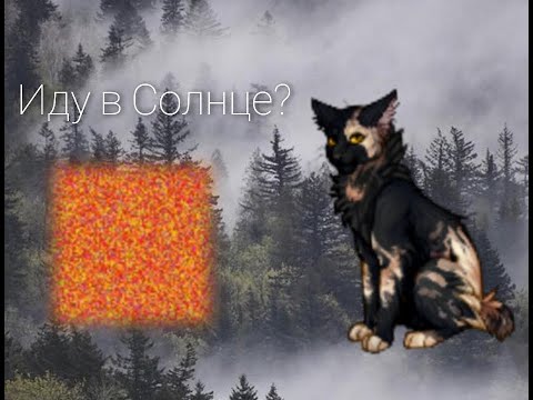 Видео: Иду в Солнце? Или же нет?/CatWar