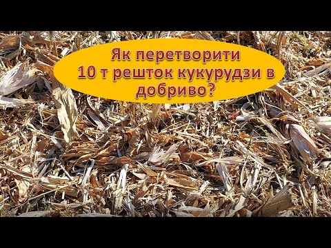 Видео: Як перетворити 10 т решток кукурудзи в добриво?