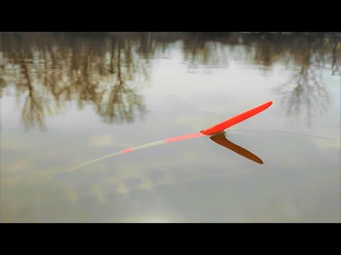 Видео: Крупный КАРАСЬ на удочку!! Рыбалка на поплавок весной в половодье