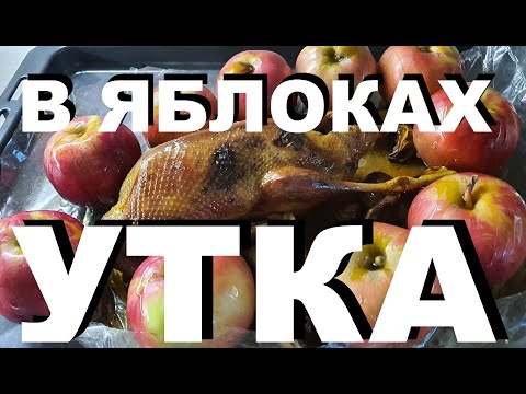 Видео: ДИКАЯ УТКА В ЯБЛОКАХ В РУКАВЕ. ОХОТА НА КУБАНИ. РЕЦЕПТЫ СЮФ