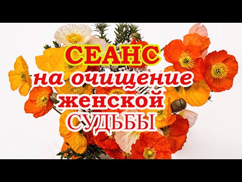 Видео: Эксклюзив. Сеанс на Очищение Женской Судьбы. Переформатирование Судьбы🙏