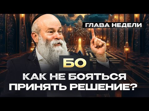 Видео: Не принимая решения — мы упускаем возможность! Рав. Шмуэль Каминецкий о главе недели БО | Менора
