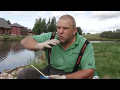 Видео: Насадки для рыбалки. Кукуруза, опарыш, червь, болтушка. На рыбалку с Нормундом #6