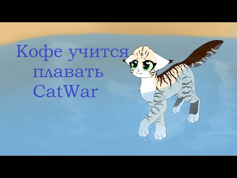 Видео: Кофейненькая учится плавать / CatWar
