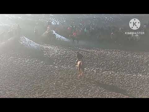 Видео: БУЗКАШИ Д ЖОРУБКУЛ 02 02 2025 (КИСМИ 2)