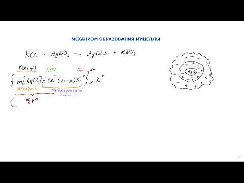 Видео: СТРОЕНИЕ МИЦЕЛЛЫ - урок 1