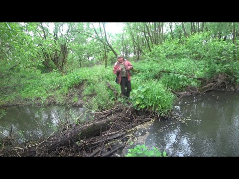 Видео: ПРИШЕЛ ХОЗЯИН РЕЧКИ И РАЗОГНАЛ ВСЕХ РЫБАКОВ!