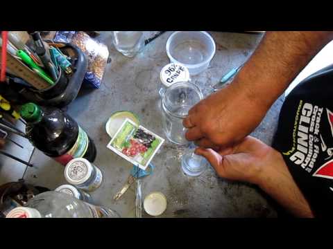 Видео: Применение гиббереллина+побочные эффекты