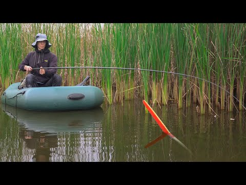Видео: Рыбачу в ДЕБРЯХ, поймал ведро карася за пару часов!