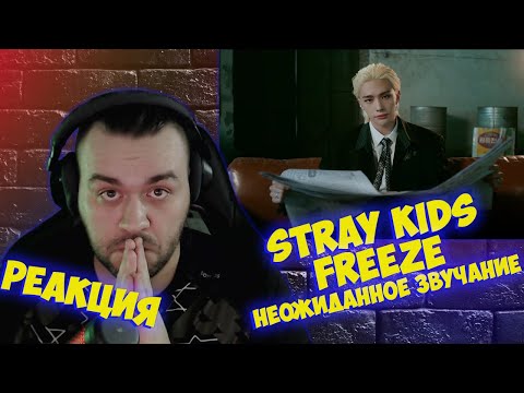 Видео: Реакция на Stray Kids "땡(FREEZE)" Video I Reaction