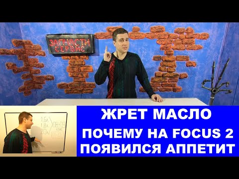 Видео: Причина расхода масла Форд Фокус 2 (1.6 1.8 2.0)