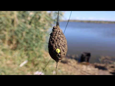 Видео: С этой кормушкой флэт половил и карпа и карася