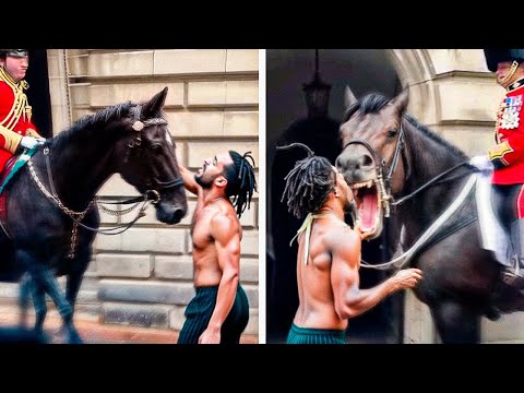 Видео: Когда лошади королевской гвардии теряют контроль и не проявляют пощады высокомерным дуракам!