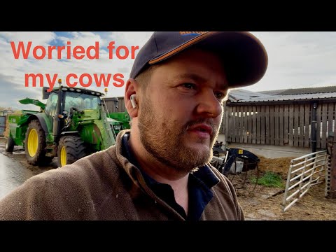 Видео: Карри из куропатки 😋… ешь то, что подстрелил!!