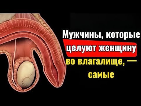 Видео: 💡 Советы стоиков, которые меняют взгляд на жизнь в любом возрасте