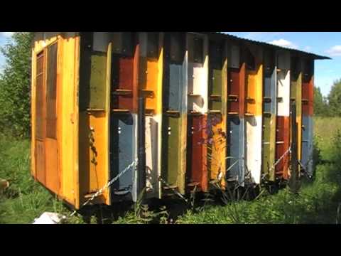 Видео: Павильон Берендей - обзорный фильм