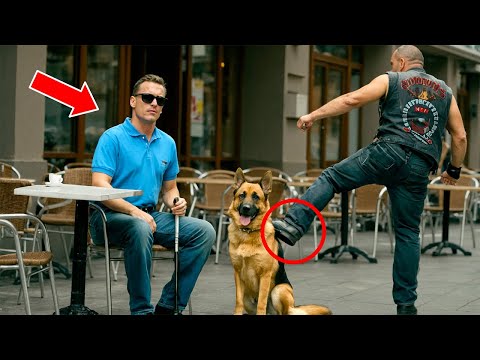 Видео: Байкер пнул немецкую овчарку слепого мужчины в шутку, не зная, что это служебная собака K9