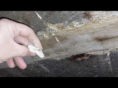 Видео: Перекрытие из арболита 4 года спустя после заливки.  #стройка #строительство #самострой