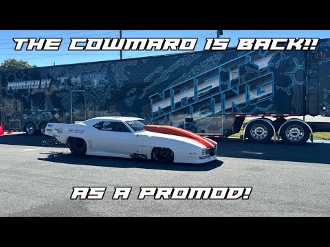 Видео: COWMARO ВЕРНУЛСЯ... В КАЧЕСТВЕ ПРОМОМОДА!!!