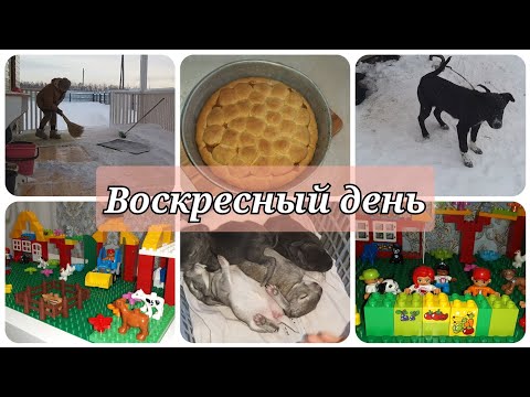 Видео: Воскресный день