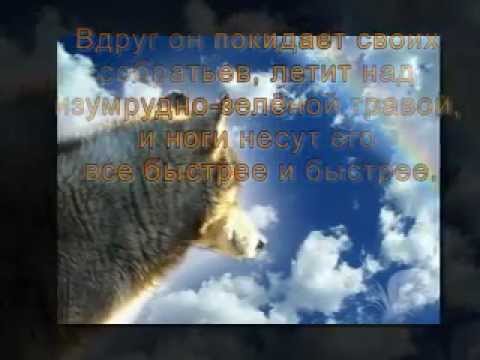 Видео: Мост радуги