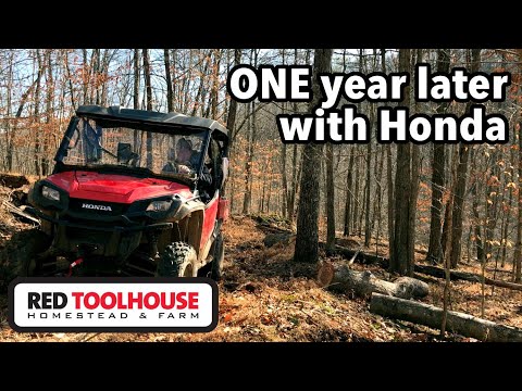 Видео: ГОД СПУСТЯ: Honda по-прежнему лучше Polaris?