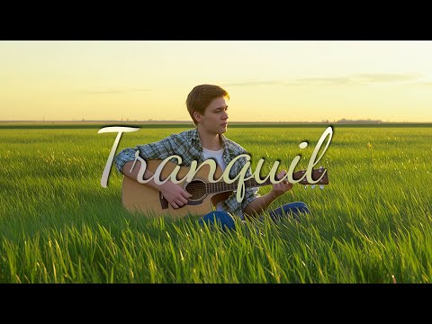 Видео: Поля безмятежности: виды с воздуха под успокаивающую гитару