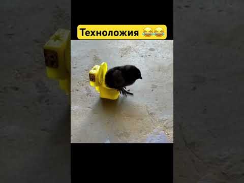 Видео: Техноложия #юмор #технологии #приколы