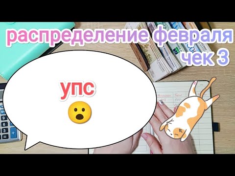 Видео: СИСТЕМА ДЕНЕЖНЫХ КОНВЕРТОВ📩 РАСПРЕДЕЛЕНИЕ ФЕВРАЛЯ📑 ЧЕК 3 🧾
