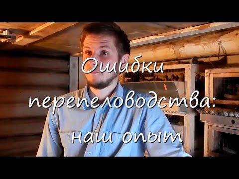 Видео: Ошибки перепеловодства: наш опыт