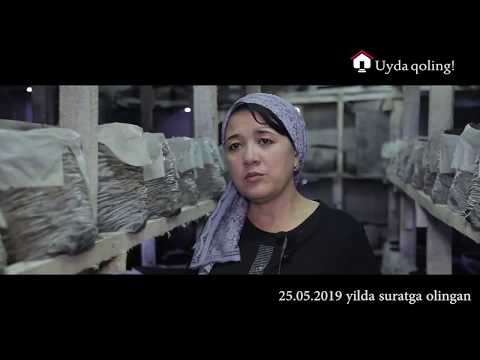 Видео: Уй шароитида қўзиқорин бизнеси. Йилига 45 млн даромад