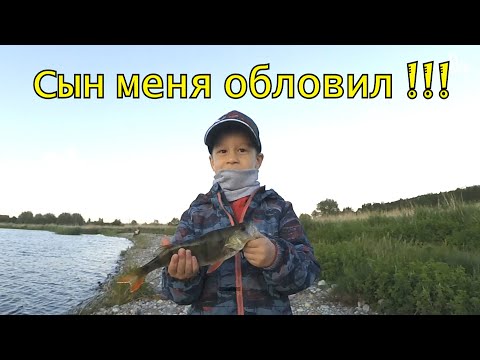 Видео: Макс меня обловил на спиннинг) Матерый окунь. Рыбалка в Калининграде.