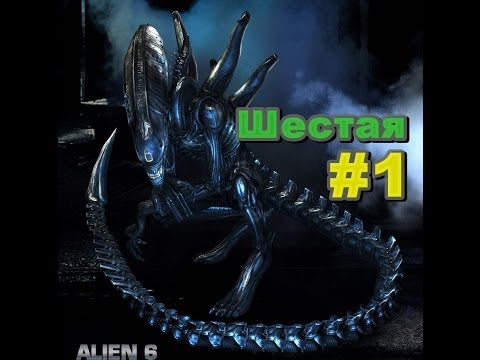 Видео: История из жизни Шестой #1