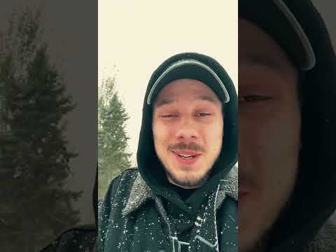 Видео: Богема тур. Омск