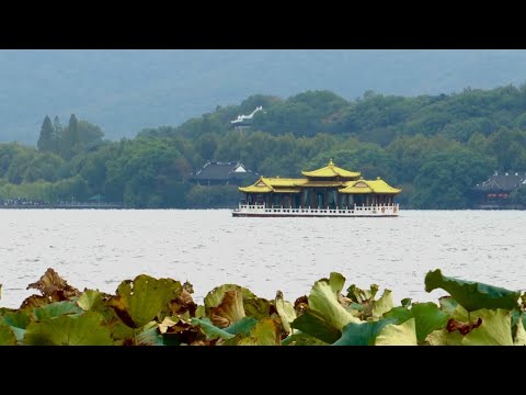 Видео: Новости Байкальского региона (12.11.2025)