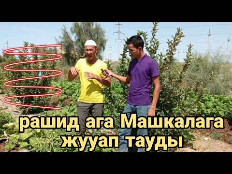 Видео: Рашид Картбаев Глобал машкаланын жууабын тауды! халык корсин!