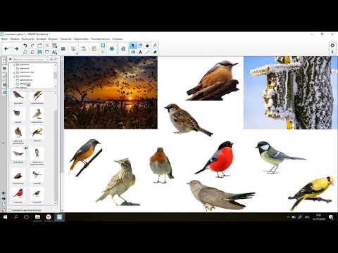 Видео: Конструктор занятий SMART Notebook