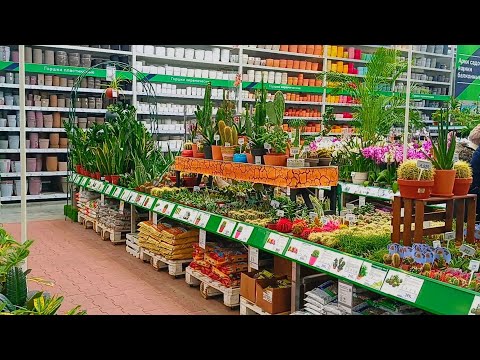 Видео: ❤🪴БАУЦЕНТР🍃ЦВЕТОЧНАЯ КРАСОТА🧡(Часть 1)