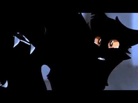 Видео: А я больше не верю в любовь.