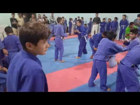 Видео: 2 ноября 2025 г.