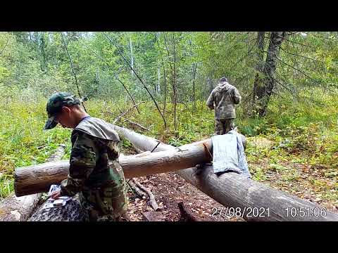 Видео: Солонец . Кормушка на кабана(груши,яблоки,овёс) .Кто то съел все сладости?