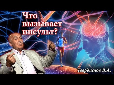 Видео: Твердислов В.А.Что провоцирует инсульт?